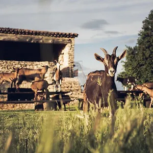 Le Domaine Du Castellas , Sivergues France